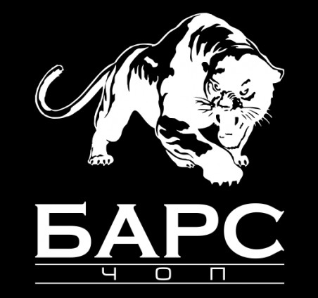 БАРС