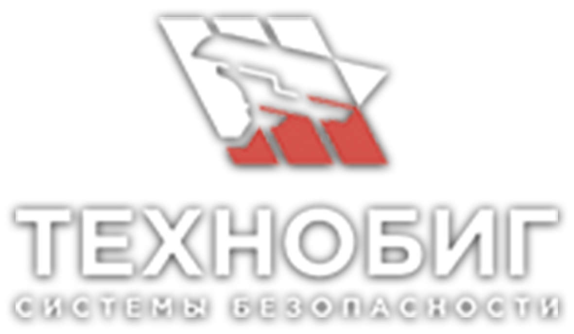 Техно Биг