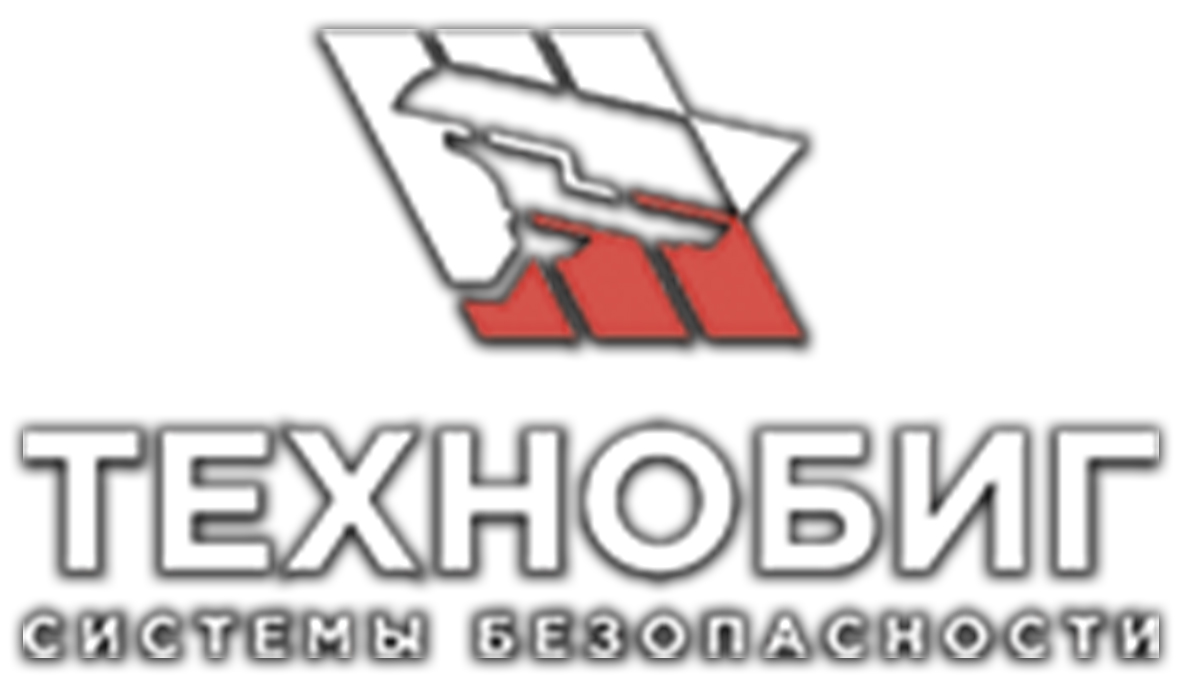 Технобиг